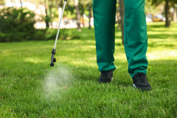 Best Rodent Control Near Me  in Camp Point, IL