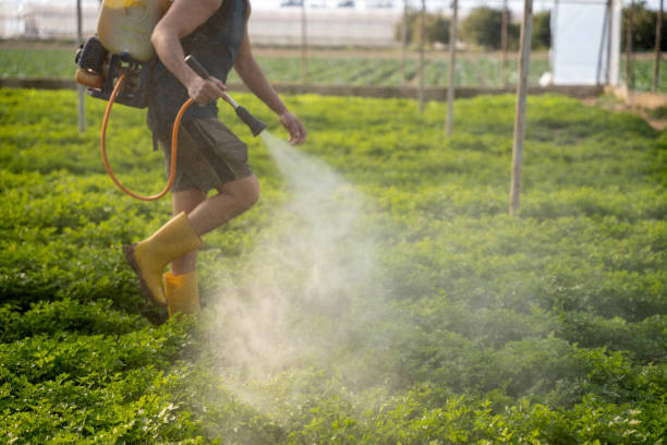 Best Mosquito Control Services  in Camp Point, IL