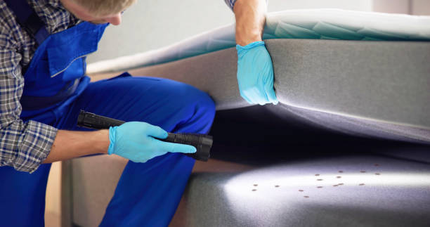 Best Flea Control Services  in Camp Point, IL