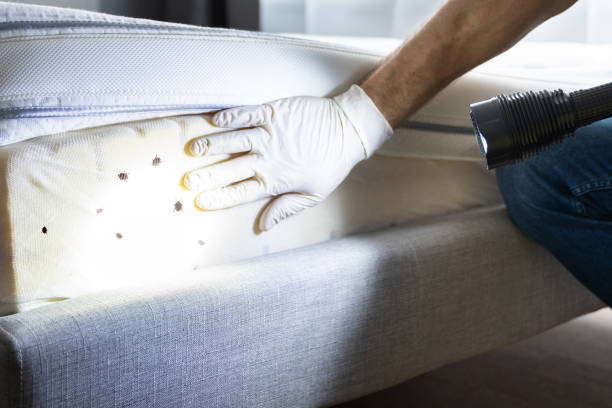 Best Best Pest Control Companies  in Camp Point, IL