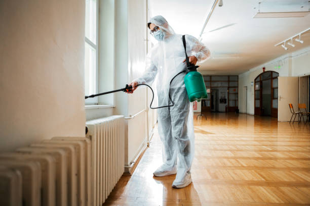 Best Local Pest Control Services  in Camp Point, IL