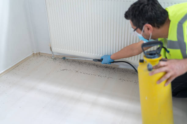 Best Residential Pest Control  in Camp Point, IL