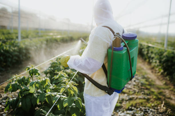 Best Ant Control Services  in Camp Point, IL